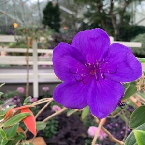 Meet your Posher, Vicky